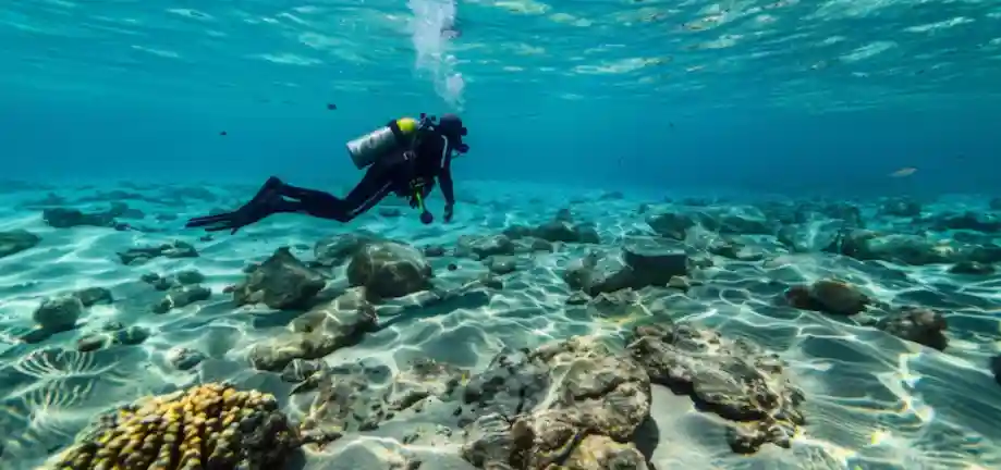 From Adventure to Relaxation: Activities to Consider for Your Next Trip